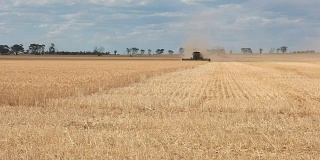 小麦收割机广角视图