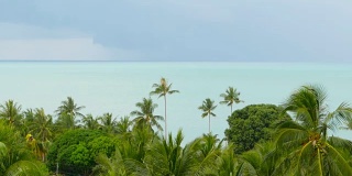 热带海岸有异国情调的椰子树和蔚蓝的海水