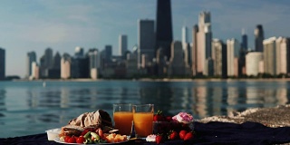 近距离观看水果和果汁在密歇根湖在芝加哥，美国在阳光明媚的一天