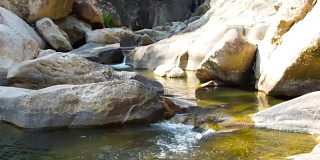 清澈的水在岩石河在山上近距离流动。湍急的水流从热带瀑布倾泻到山河。热带雨林中的野生自然