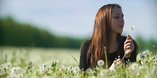 高加索快乐女孩吹蒲公英在夏季草地