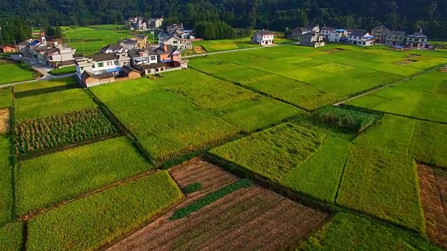 中国四川秋日稻田鸟瞰图