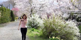 女游客欣赏春天的樱花