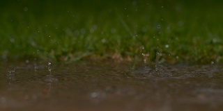慢镜头:在暴风雨中雨滴掉进池塘的美丽镜头。