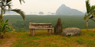 从上面可以看到成行的油棕榈种植园。热带景观。