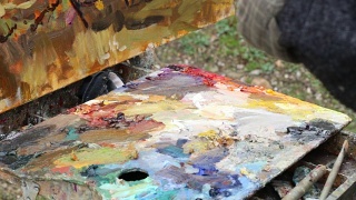 职业艺术家用油画颜料在画布上作画视频素材模板下载