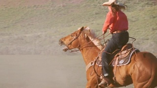 慢镜头美国犹他州的马和牛仔视频素材模板下载