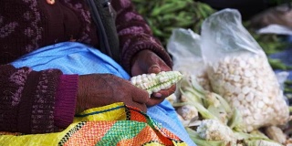 一位秘鲁妇女在剥玉米的侧面图