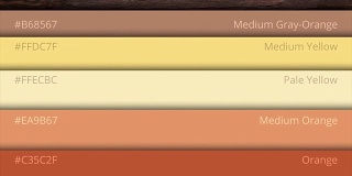 调色板指南。网页的颜色。样品颜色目录。网页设计HTML中颜色的选择。五彩缤纷的明亮的背景。RGB。CMYK。印刷的房子。网页设计模板图形概念