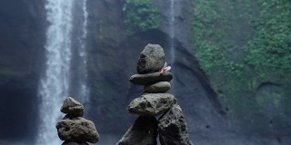 瀑布旁的石堆上的花