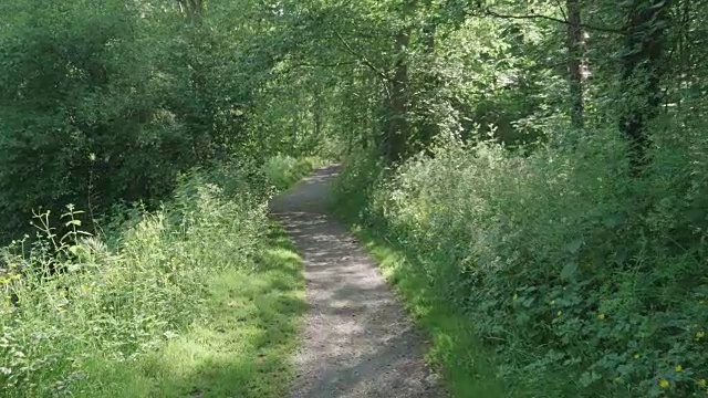 漫步在北爱尔兰的夏日乡间小路上