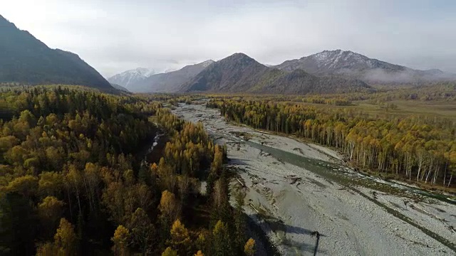 空中镜头飞行在秋天的森林在山区