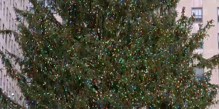 洛克菲勒中心的圣诞树和一大群游客的特写细节视频