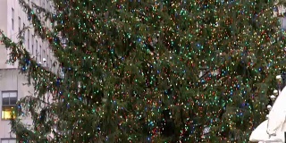 洛克菲勒中心的圣诞树和一大群游客的特写细节视频