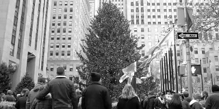 洛克菲勒中心圣诞树和一大群游客的黑白视频