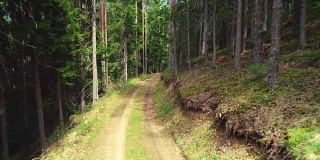 山林中的道路、小径、小径