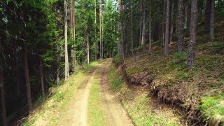 山林中的道路、小径、小径视频素材模板下载