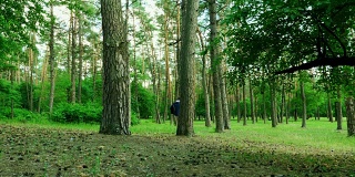 一个背着背包的人走在松树附近的森林里。