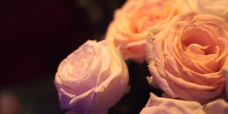 婚礼上的白玫瑰花束。夹。一个白色玫瑰的花瓣特写。特写新鲜的白色玫瑰与绿色茎和叶