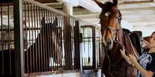 在马厩里，一个女骑手站在一匹棕色的年轻漂亮的骏马旁边，一匹纯种马。她抚摸他，亲吻他的脸