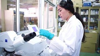 亚洲女科学家在实验室工作实验视频素材模板下载