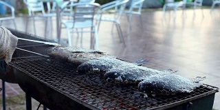 火炉烤鱼，泰国街头小吃。