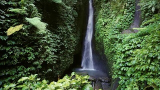 印尼巴厘岛的Leke Leke瀑布。热带森林和瀑布视频素材模板下载