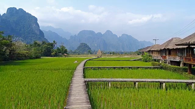 老挝万荣的木路和绿色稻田。