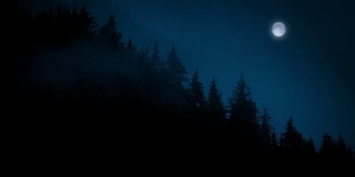 在野外的夜晚，雾在树上移动