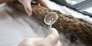 一位古生物学家在放大镜下观察一具鳞翅目植物化石的根
