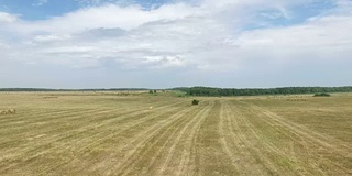 空中拍摄的草地景观，由农民修剪和收获所有使用它的草，并干燥它的冬季使用时间。俄罗斯斯塔夫罗波尔。