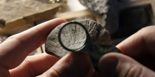 古代海洋生物研究史前时期化石的古生物学家