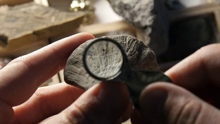 古代海洋生物研究史前时期化石的古生物学家视频素材模板下载