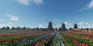 荷兰风车和田野的郁金香映衬着美丽的天空，无人机飞行4K