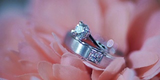 微距拍摄的结婚戒指在粉红色的花。婚礼的主题。