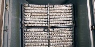 工厂单位收集了一批白鸡蛋