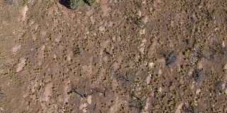 一个人走在科罗拉多州大Junction沙漠的科罗拉多国家纪念碑上的航拍照片