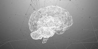 用于思考的大脑人工智能神经网络