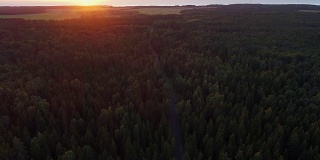 北欧松树林中公路的鸟瞰图。
