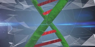 用于生物技术基因医学工程的干细胞DNA螺旋分子
