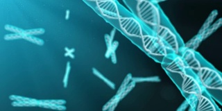 染色体遗传学研究在生物化学中对人类基因组DNA进行3d渲染