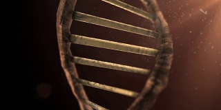 线粒体损伤，DNA和RNA染色体遗传障碍3d渲染