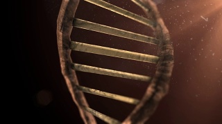 线粒体损伤，DNA和RNA染色体遗传障碍3d渲染视频素材模板下载