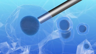 干细胞研究和生物技术科学为人类克隆3D渲染视频素材模板下载
