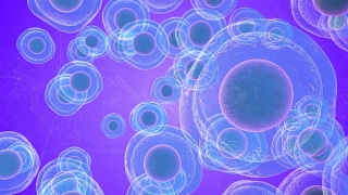 胚胎干细胞称为胚泡的早期胚胎医学研究3D渲染视频素材模板下载