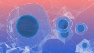 胚胎干细胞称为胚泡的早期胚胎医学研究3D渲染视频素材模板下载