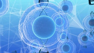 人类胚胎干细胞分子生物化学研究技术3D渲染视频素材模板下载