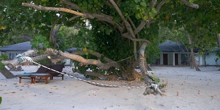 一张舒适的吊床和一张躺椅，躺在热带树木的树荫下，后面是一间海滩平房。