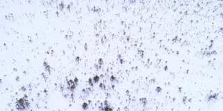 爱沙尼亚被雪覆盖的北欧景观鸟瞰图。