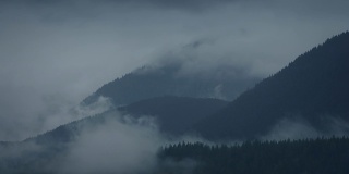 在森林山脉上空旋转的雾